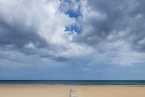 Da Cipro Nord: Tour della penisola di Karpaz