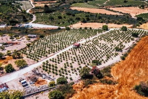 Z Pafos: popołudniowa wycieczka do klasztoru Agios Neophytos