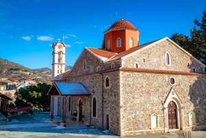 From Paphos: Agros,Arsos,Troodos and Tzielefos by minibus