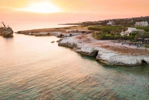 Au départ de Paphos : Visite guidée de l'Akamas en 4x4 avec un guide local