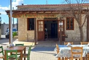 Au départ de Paphos : Visite guidée de l'Akamas en 4x4 avec un guide local