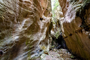 Depuis Paphos : Excursion d'une journée dans le parc national de la péninsule d'Akamas