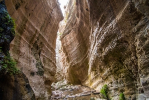 Depuis Paphos : Excursion d'une journée dans le parc national de la péninsule d'Akamas