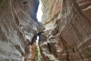 Vanuit Paphos: Dagtrip Nationaal Park Akamas Schiereiland