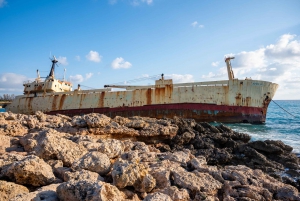 Från Paphos: Dagsutflykt till Akamas Peninsula National Park