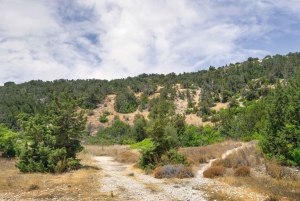 Vanuit Paphos: Dagtrip Nationaal Park Akamas Schiereiland