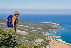 From Paphos or Limassol: Akamas National Park Jeep Safari