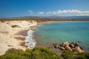 From Paphos or Limassol: Akamas National Park Jeep Safari