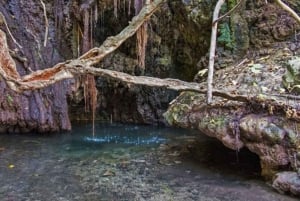 From Paphos or Limassol: Akamas National Park Jeep Safari