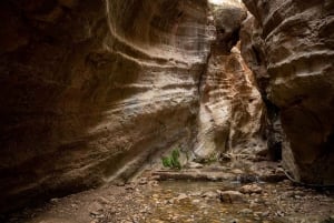 From Paphos or Limassol: Akamas National Park Jeep Safari