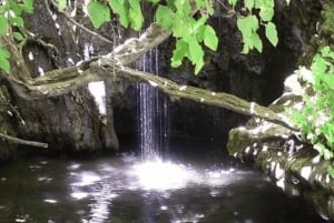 Depuis Paphos : expérience Aphrodite, grottes marines et vignoble