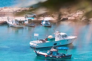 Depuis Paphos : expérience Aphrodite, grottes marines et vignoble