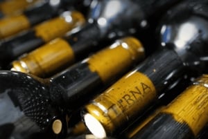 From Paphos: Aphrodite Experience, Sea Caves, & Winery Tour