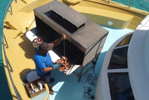 From Paphos: Blue Lagoon Tour with BBQ and Hotel Pickup