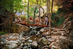 From Paphos: Caledonia Waterfalls Walking Tour with Lunch