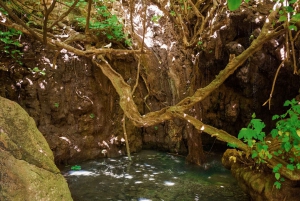 Paphos/Akamas: Laguuni: Blue Lagoon Bus & Boat Tour with Water Slide -bussikierros vesiliukumäellä