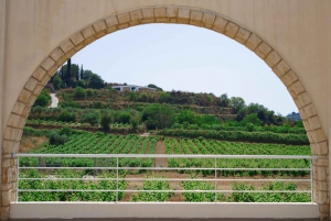 Paphos/Akamas : Visite en bus et en bateau du Lagon Bleu avec toboggan aquatique