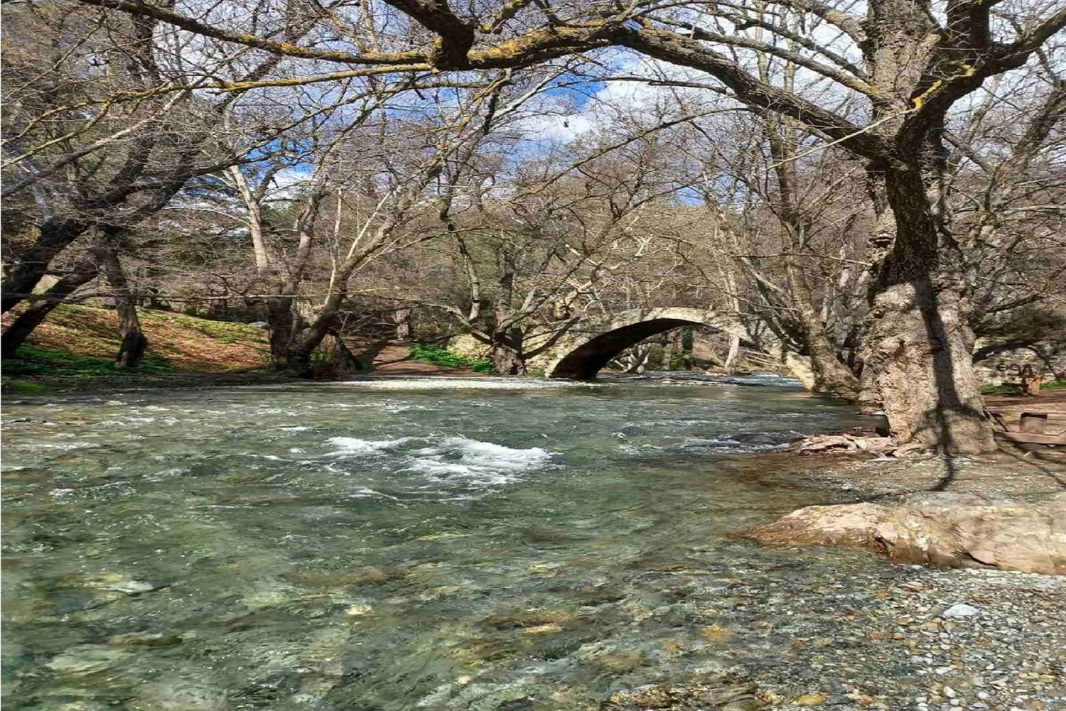 Au départ de Paphos : Explorez les joyaux cachés de Troodos en minibus