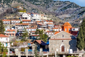 Från Paphos: Utforska Troodos dolda pärlor med minibuss