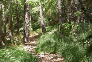 Från Paphos: Grand Tour Jeep Safari