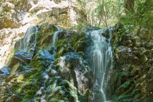 Från Paphos: Grand Tour Jeep Safari