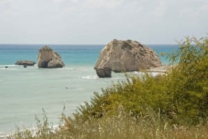 From Paphos: Guided tour of Limassol with Rock of Aphrodite