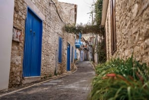 Vanuit Paphos: Hoogtepunten van Larnaca Tour met Lefkara & Nicosia