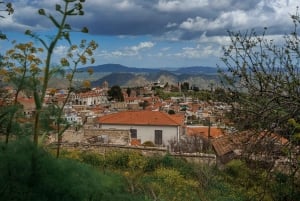 Vanuit Paphos: Hoogtepunten van Larnaca Tour met Lefkara & Nicosia