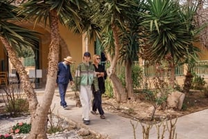 Vanuit Paphos: Hoogtepunten van Larnaca Tour met Lefkara & Nicosia