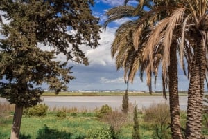 Au départ de Paphos : Larnaca avec Lefkara et Nicosie