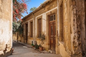 Vanuit Paphos: Hoogtepunten van Larnaca Tour met Lefkara & Nicosia