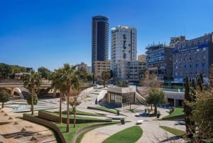 Vanuit Paphos: Hoogtepunten van Larnaca Tour met Lefkara & Nicosia