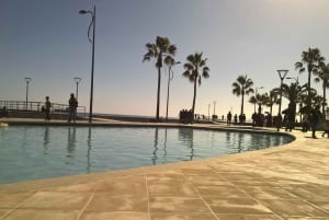 Z Pafos: Limassol Experience