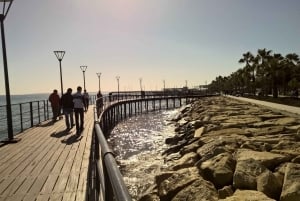 Desde Pafos Experiencia en Limassol