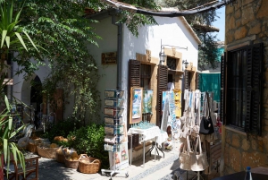 From Paphos & Limassol: Full-Day Tour Highlights of Nicosia
