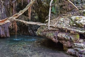 Da Paphos o Limassol: Safari in jeep nel Parco Nazionale di Akamas