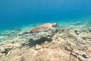 Z PAPHOS: Snorkeling w Moulia Rocks (łódź)
