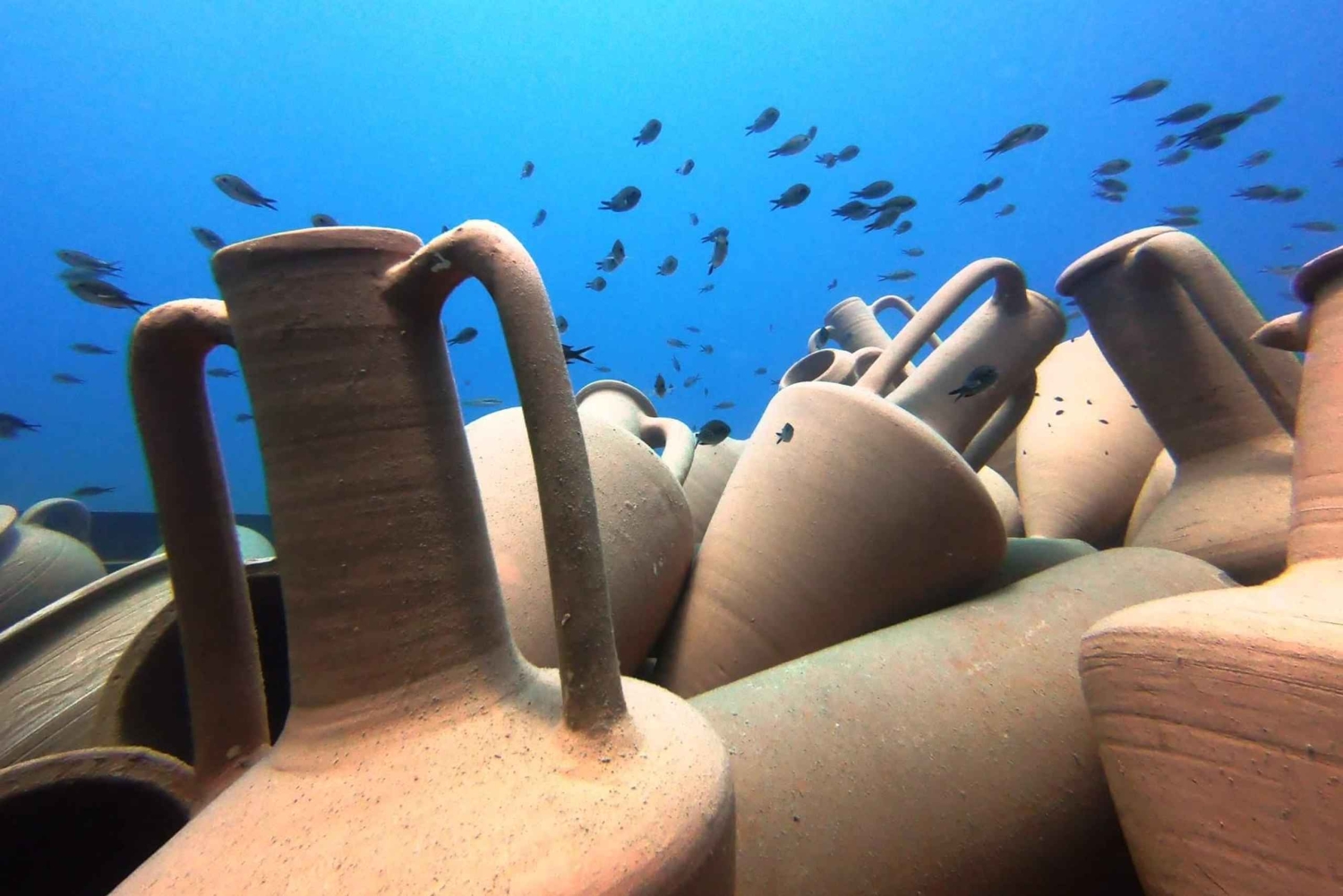 VAN PAPHOS: Snorkelen in het Marine Park (kust)
