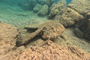 VAN PAPHOS: Snorkelen in het Marine Park (kust)