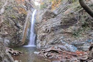 PÁFOKSESTA: Tutustu aidon Troodoksen charmiin nelivetoisella jeepillä