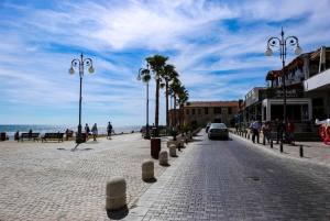 From Paphos: Tour Nicosia - Larnaca (North Cyprus walk-in)