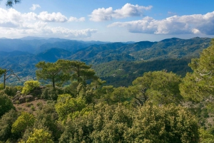 From Paphos: Troodos, Paphos Forest, Kykkos, and Omodos Tour