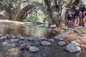 De Paphos: Encantos da aldeia e Troodos Kykkos