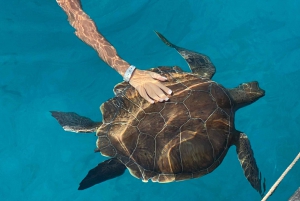 De Protaras: Lagoa Azul e Cruzeiro Pirata na Baía das Tartarugas