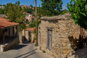 From Protaras: Full-Day Jeep Safari to Troodos with Lunch