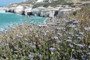 Paphos: Akamas, Waterfalls & Blue Lagoon of Aphrodite Tour