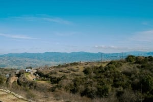 Tour di un'intera giornata: relitti, Laguna Blu e cantina Sterna