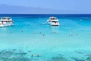 Tour di un'intera giornata: relitti, Laguna Blu e cantina Sterna