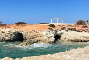 Tour di un'intera giornata: relitti, Laguna Blu e cantina Sterna