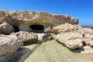 Tour di un'intera giornata: relitti, Laguna Blu e cantina Sterna